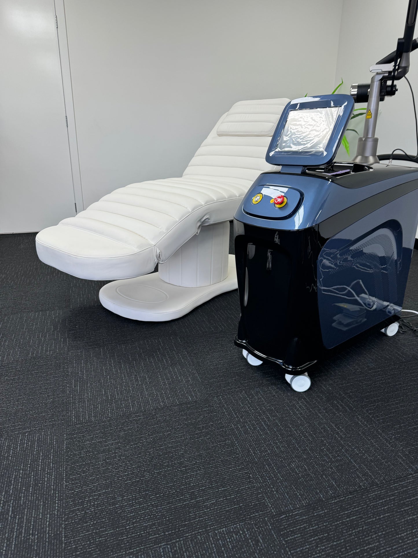 THE LUSH BEAUTY BED (ELECTRIC)