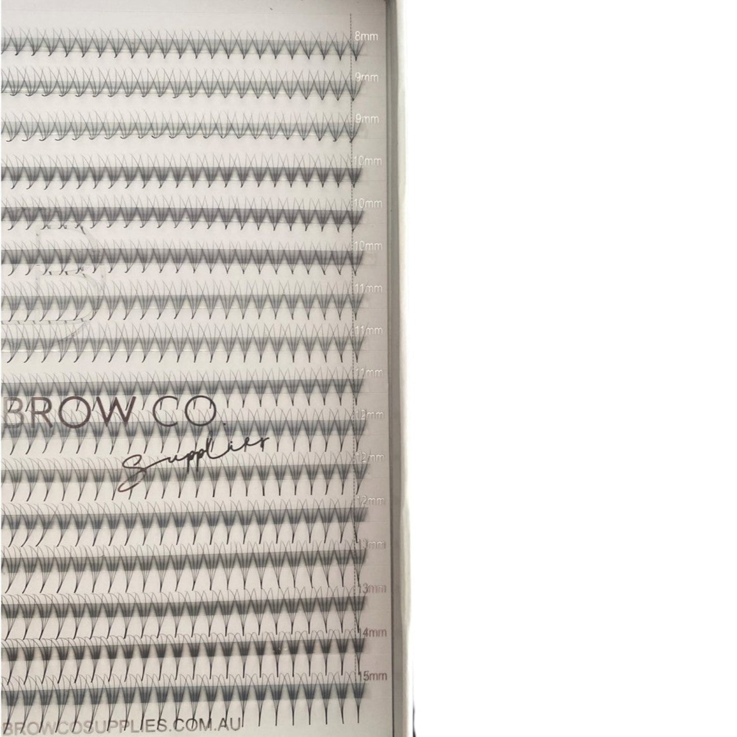 PRO-MADE - C CURL (MEGA TRAYS)