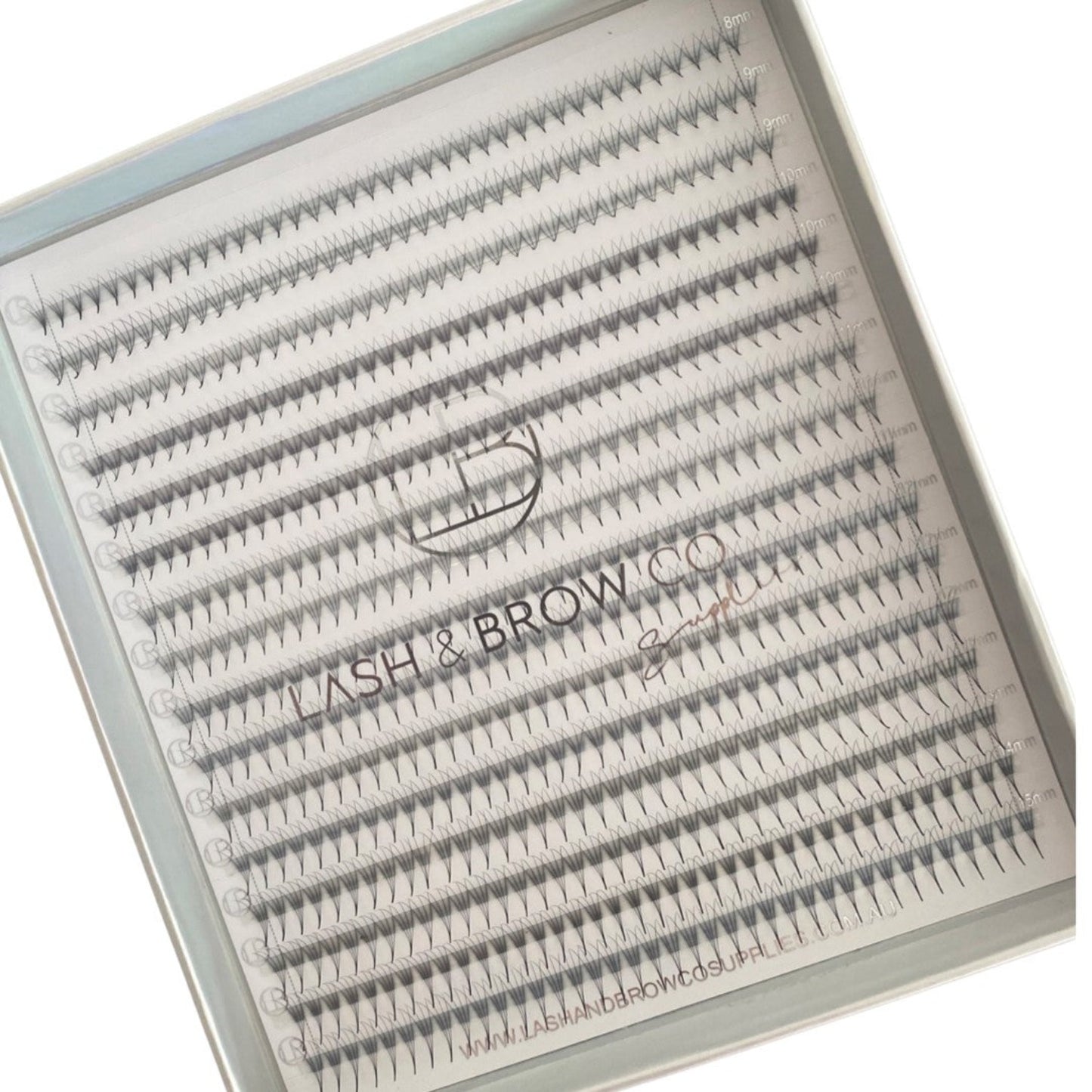 PRO-MADE - C CURL (MEGA TRAYS)