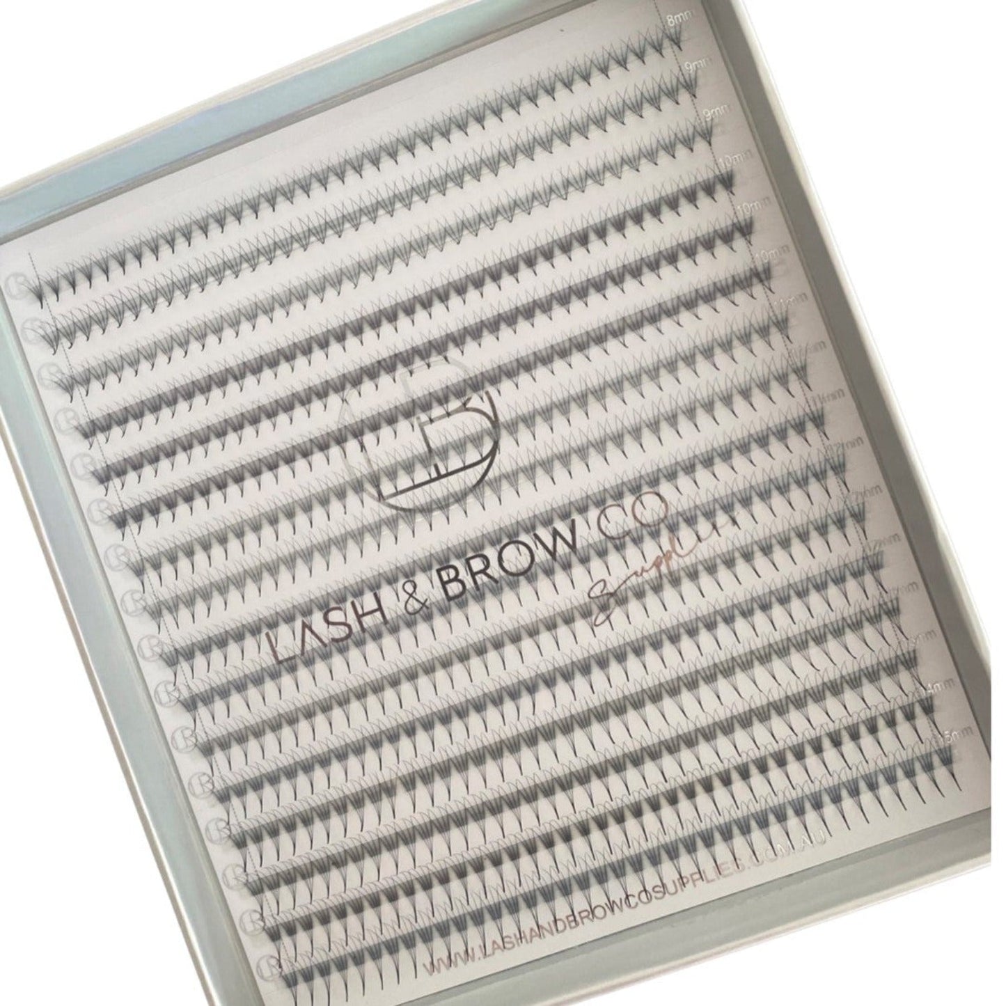 PRO-MADE - D CURL (MEGA TRAYS)
