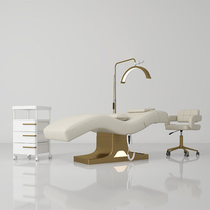 AURUM WAVE LOUNGER - (ELECTRIC)