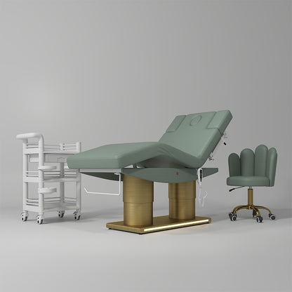 ZENOVA ALLURE (ELECTRIC) - Aesthetics Heated/Tilt Edition Bed