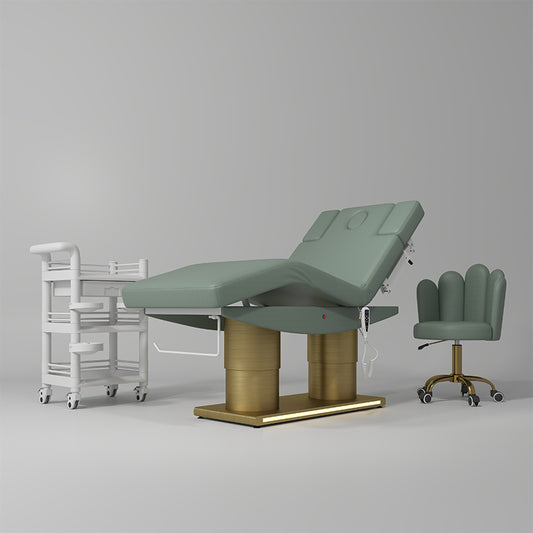 ZENOVA ALLURE (ELECTRIC) - Aesthetics Edition Bed