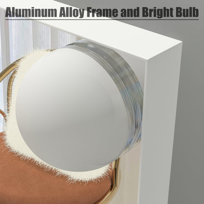 ELYSIAN LUMIÈRE VANITY MIRROR